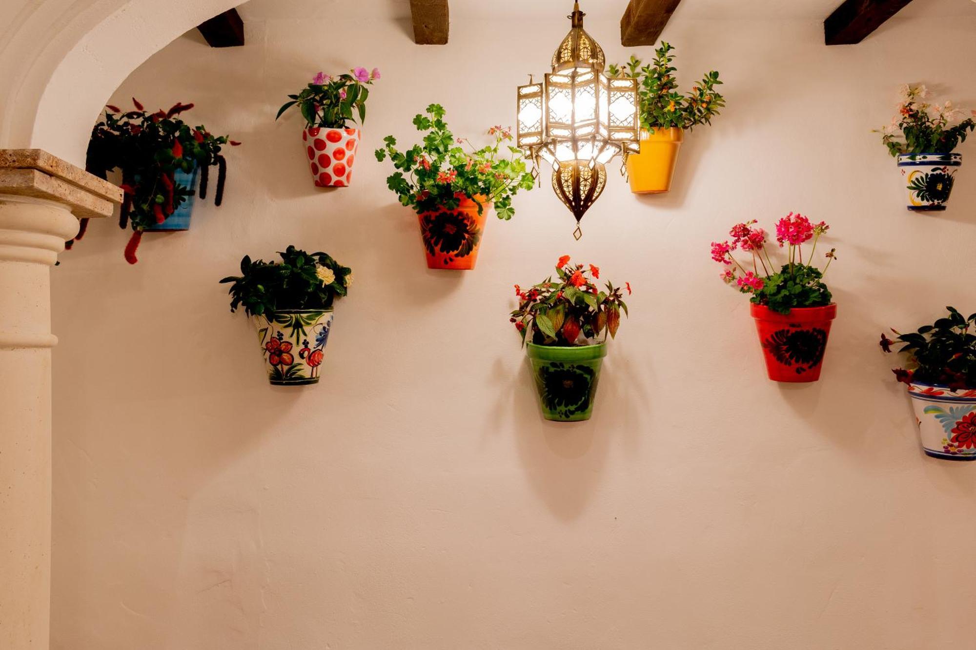 Casa Del Patio - Boutique Apartments (Adults Only) เอสเตโปนา ภายนอก รูปภาพ