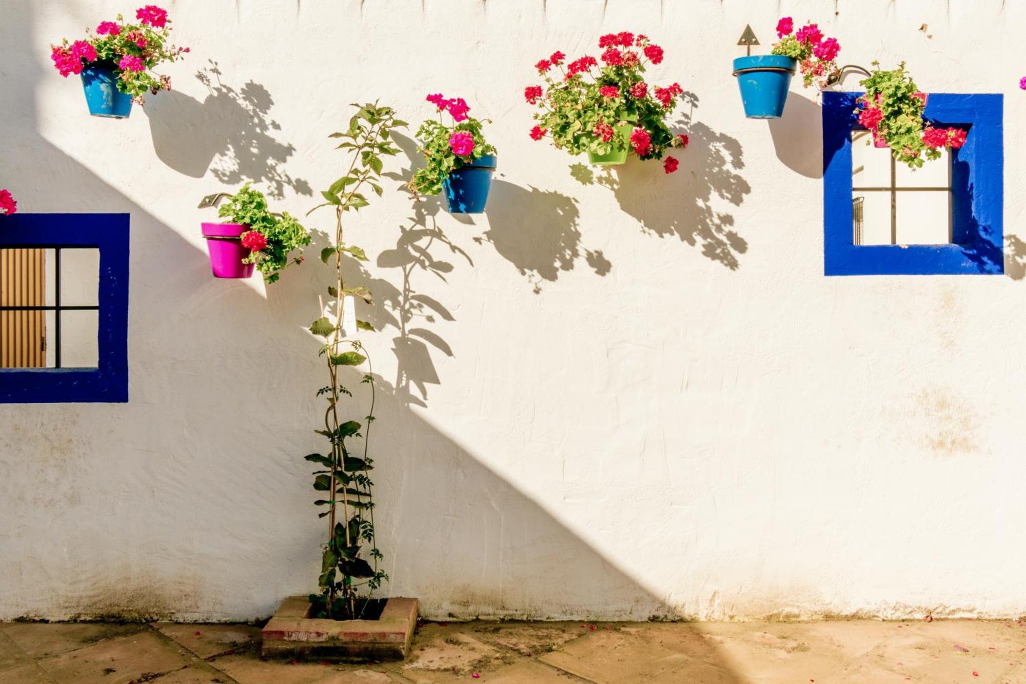 Casa Del Patio - Boutique Apartments (Adults Only) เอสเตโปนา ภายนอก รูปภาพ